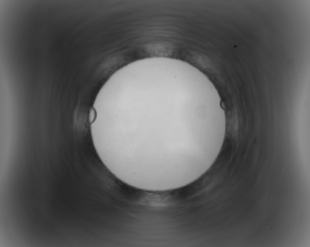 X0000083050713200703022111