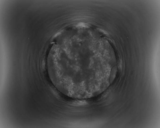 X0000083050715200703022111