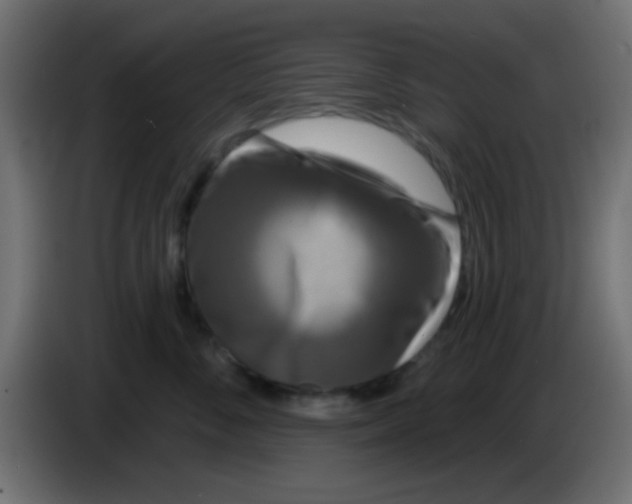 X0000083050716200703022111