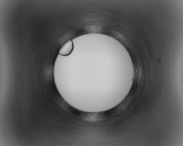 X0000083050717200703022111