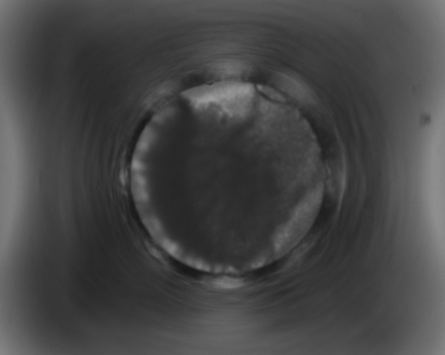 X0000083050718200703022111