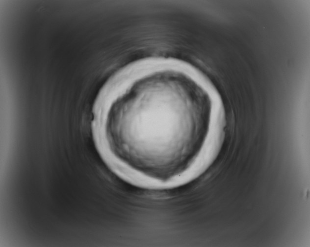 X0000083050719200703022111