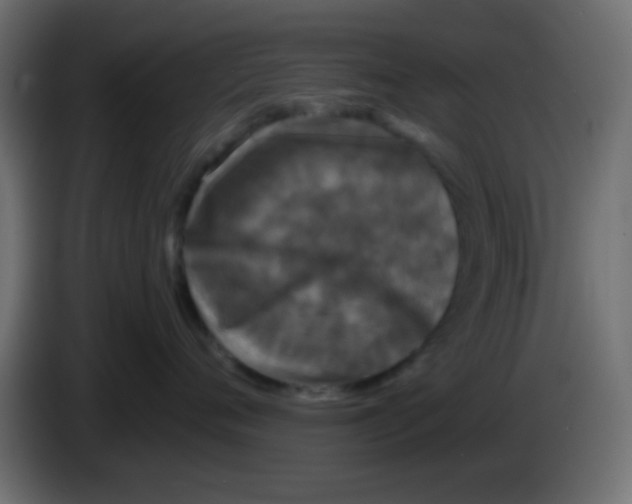 X0000083050720200703022111