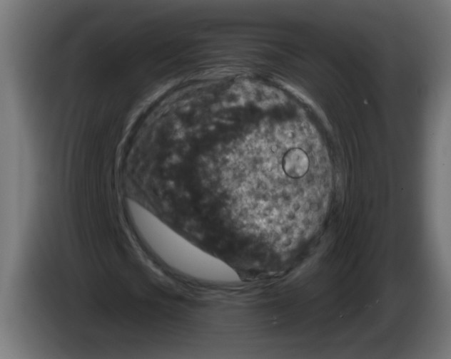 X0000083050721200703022110