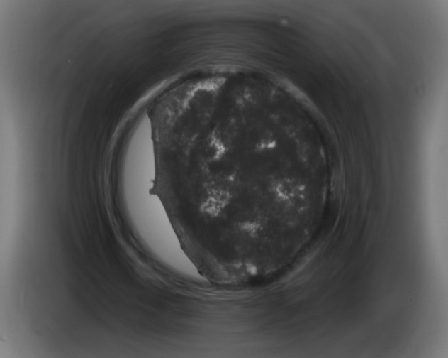 X0000083050722200703022110