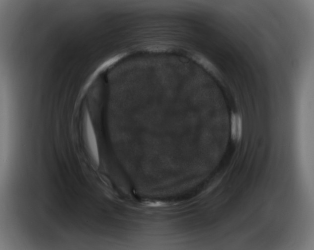 X0000083050723200703022110