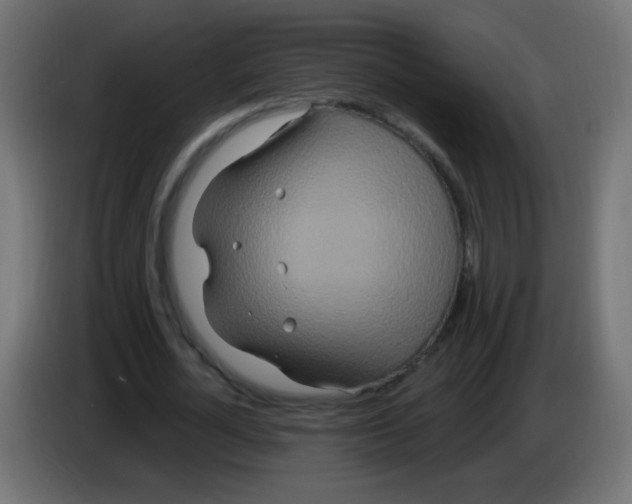 X0000083050724200703022110