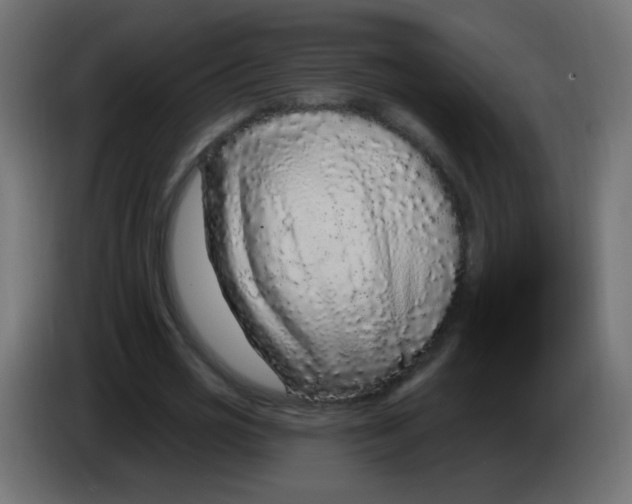 X0000083050725200703022110