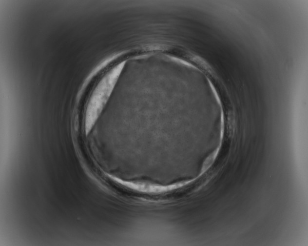 X0000083050726200703022110