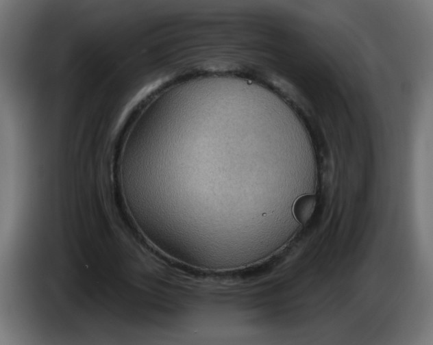 X0000083050727200703022110