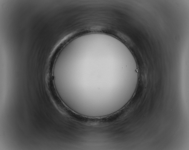 X0000083050728200703022110