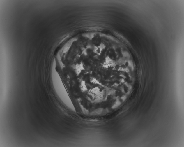 X0000083050729200703022110