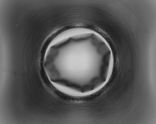 X0000083050730200703022110