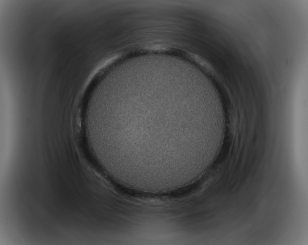 X0000083050731200703022110