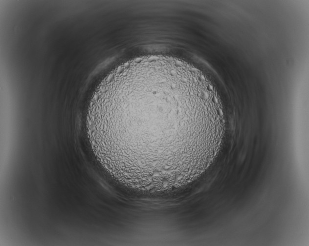 X0000083050733200703022110