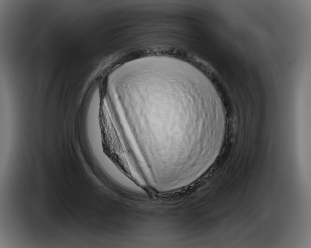 X0000083050734200703022110