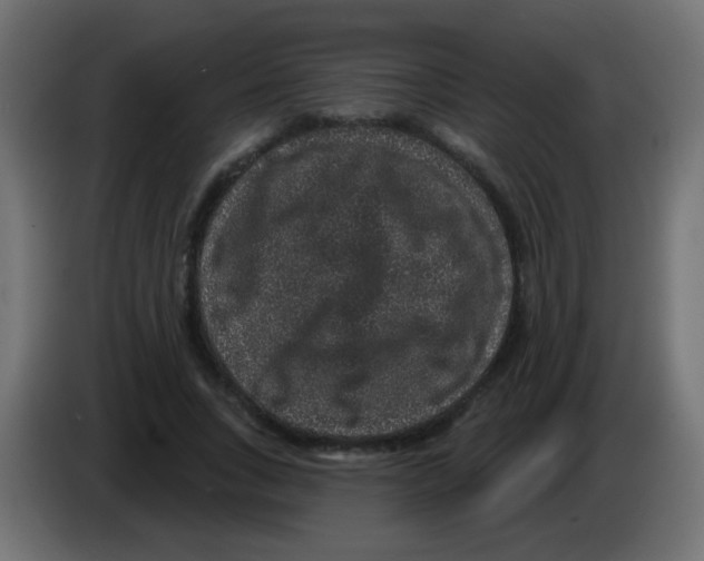 X0000083050735200703022110