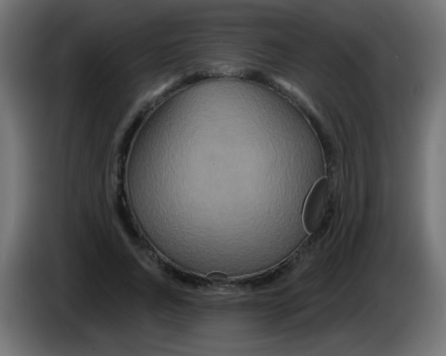 X0000083050736200703022110