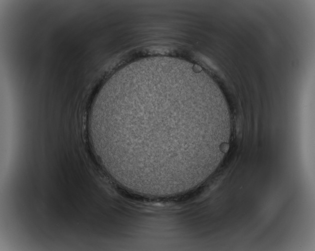 X0000083050737200703022110