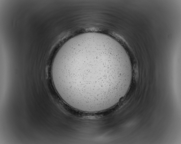 X0000083050738200703022110