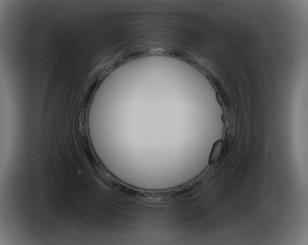 X0000083050740200703022110