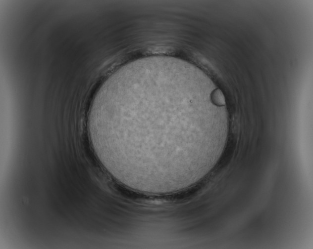 X0000083050741200703022110