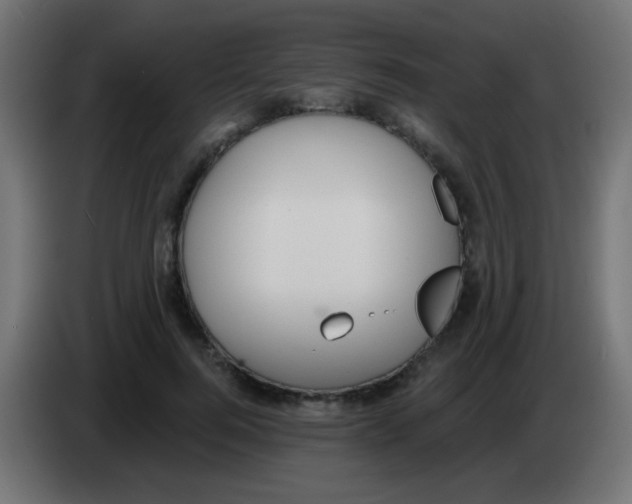 X0000083050744200703022110