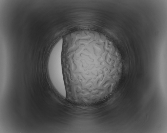 X0000083050745200703022110