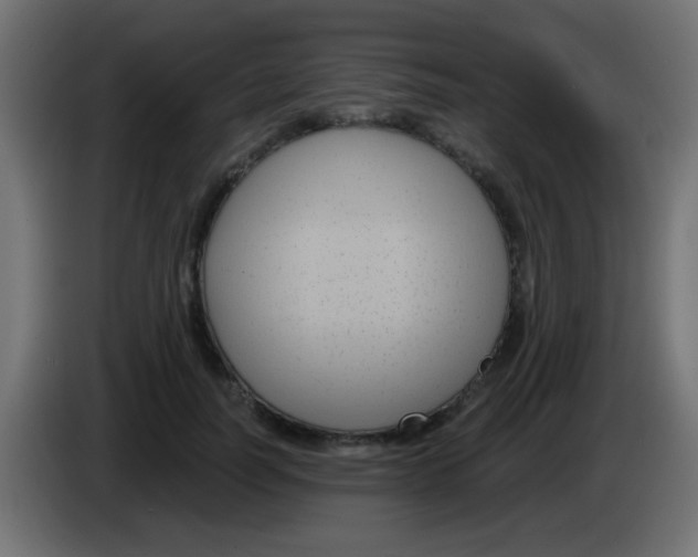 X0000083050746200703022110