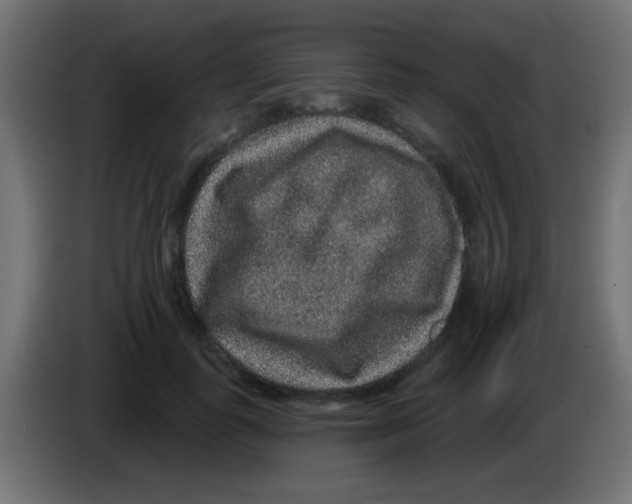 X0000083050747200703022110