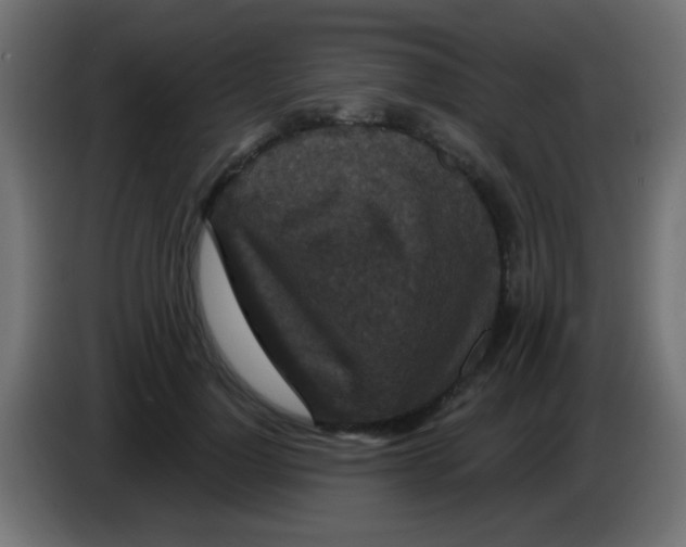 X0000083050748200703022110