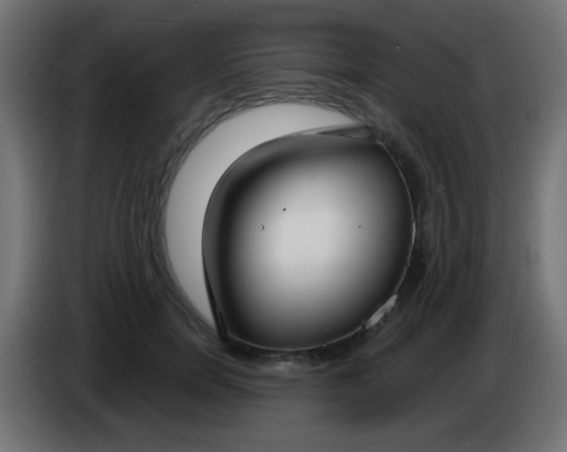 X0000083050750200703022110