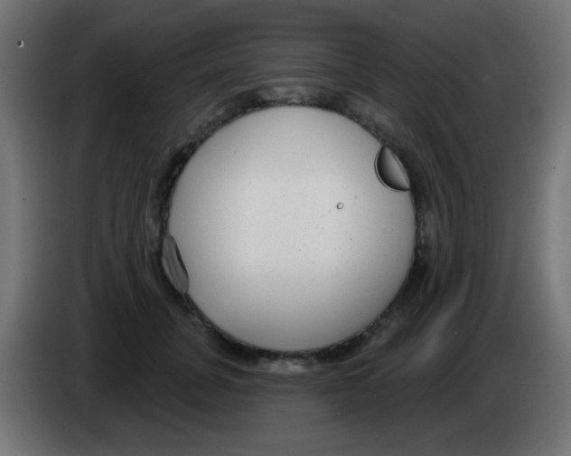 X0000083050751200703022110