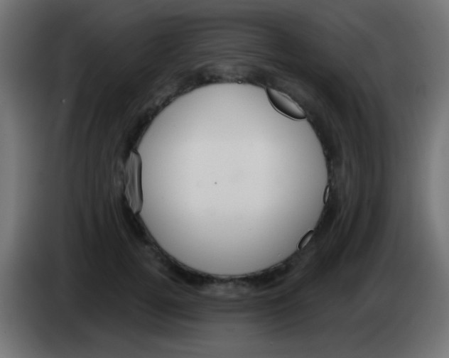 X0000083050752200703022110