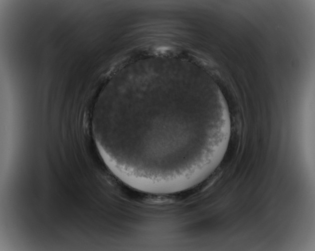 X0000083050754200703022110