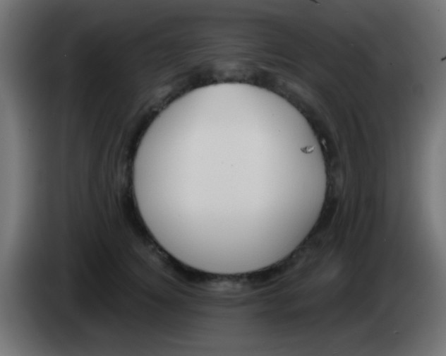 X0000083050756200703022110