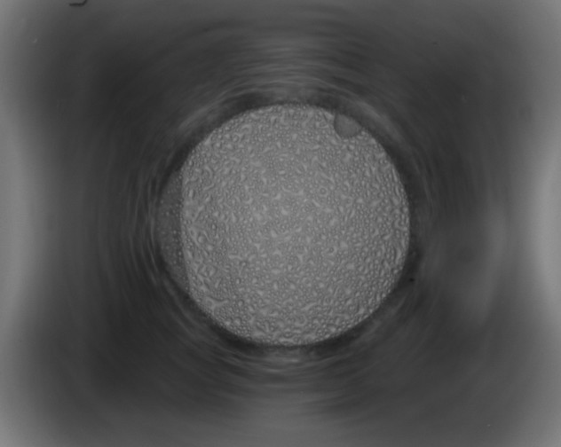 X0000083050757200703022110