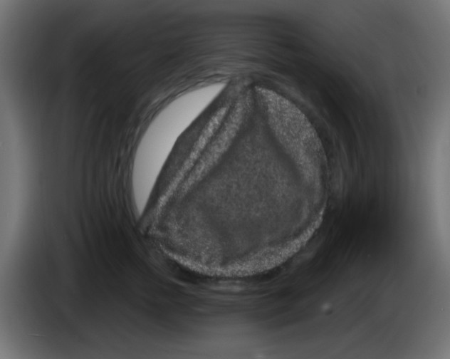 X0000083050758200703022110