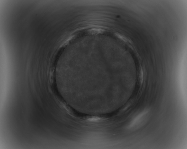 X0000083050759200703022110