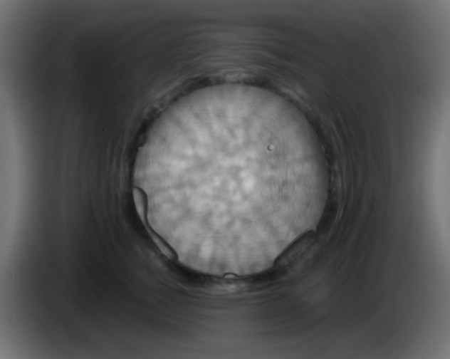 X0000083050760200703022110