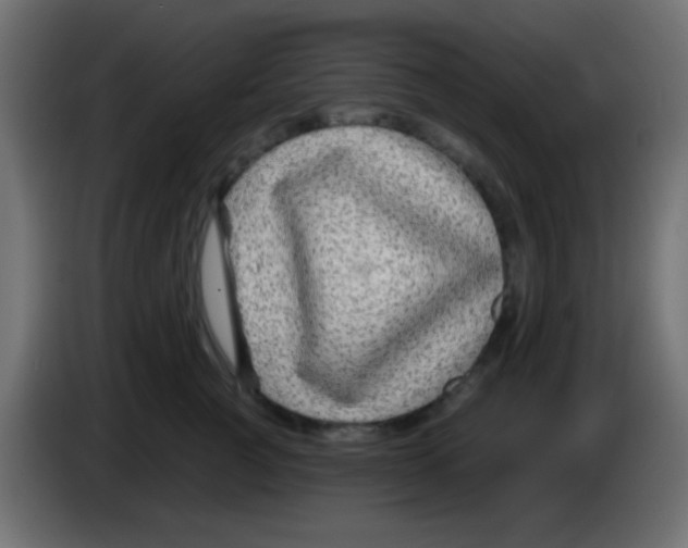 X0000083050761200703022111