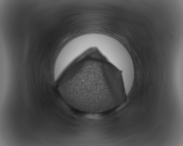 X0000083050762200703022111