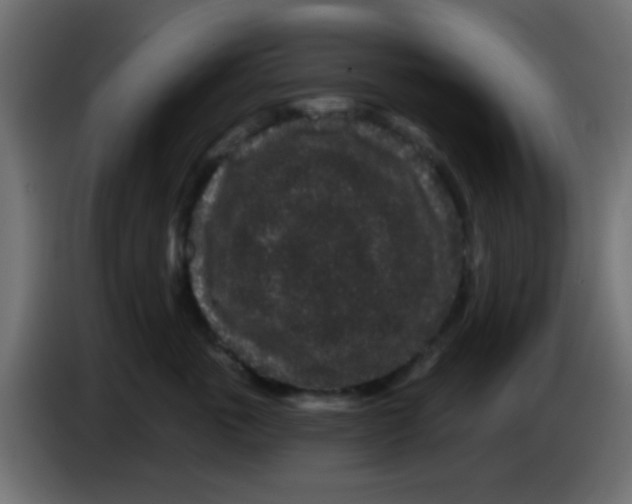 X0000083050763200703022111