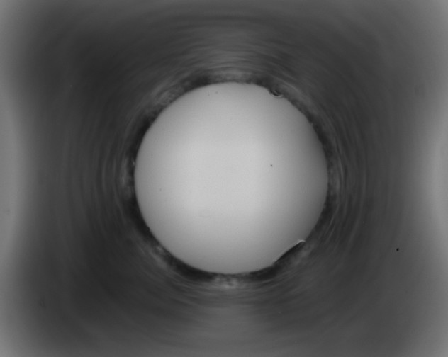 X0000083050764200703022111