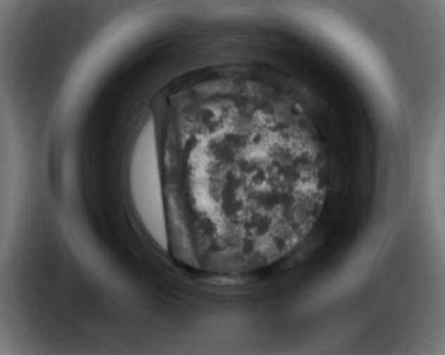 X0000083050765200703022111