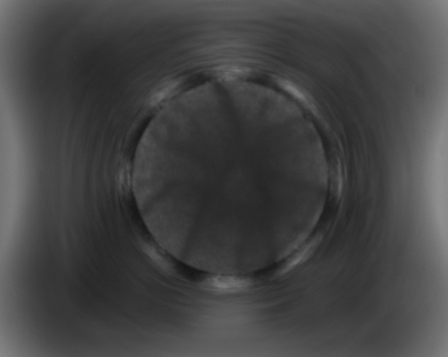 X0000083050766200703022111