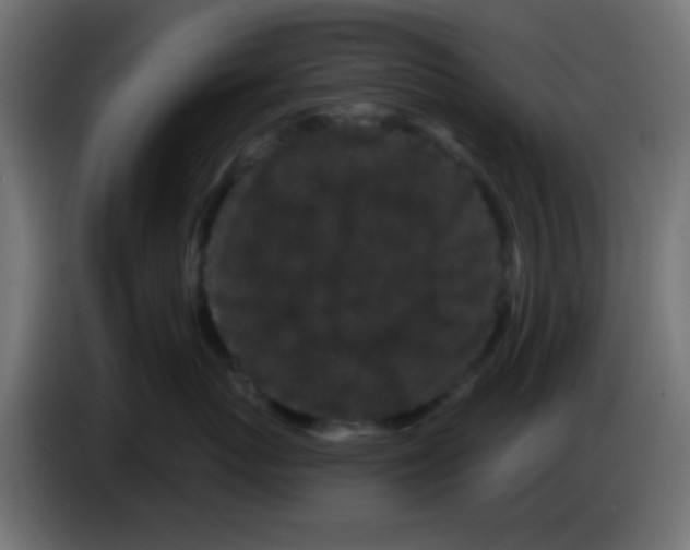 X0000083050767200703022111