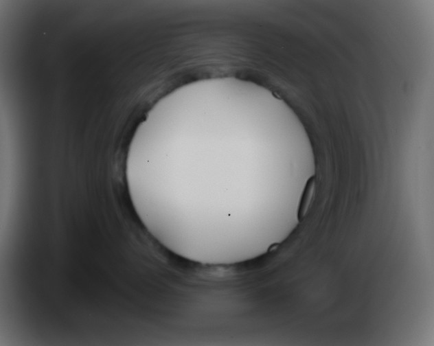 X0000083050768200703022111