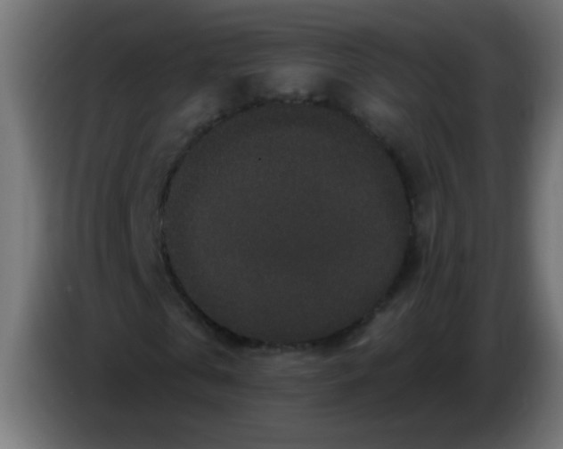 X0000083050769200703022110