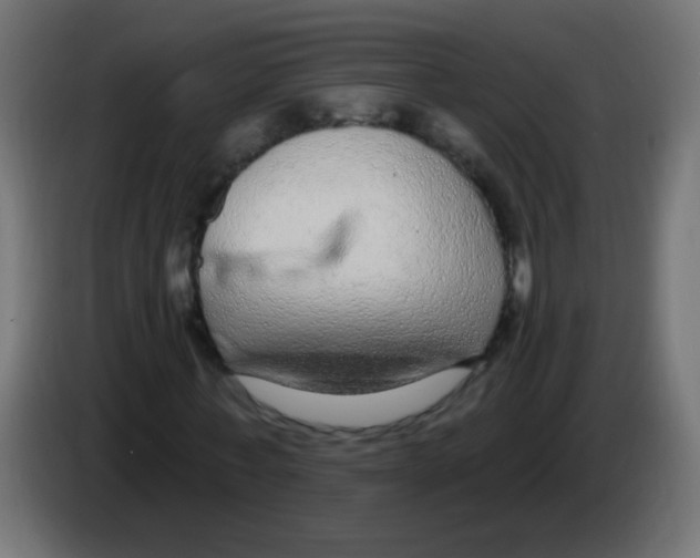 X0000083050771200703022110